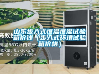 知識百科山東步入式恒溫恒濕試驗箱價錢（步入式環(huán)境試驗箱價格）