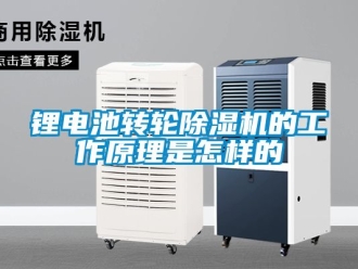 常見問題鋰電池轉(zhuǎn)輪除濕機的工作原理是怎樣的