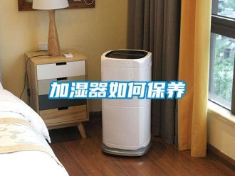 常見(jiàn)問(wèn)題加濕器如何保養(yǎng)