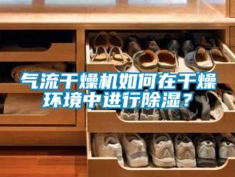 行業(yè)新聞氣流干燥機(jī)如何在干燥環(huán)境中進(jìn)行除濕？