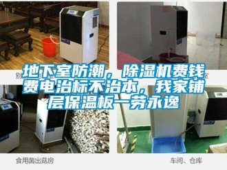 行業(yè)新聞地下室防潮，除濕機費錢費電治標(biāo)不治本，我家鋪層保溫板一勞永逸