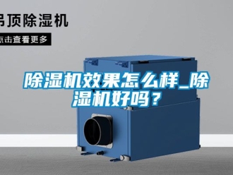 行業(yè)新聞除濕機效果怎么樣_除濕機好嗎？