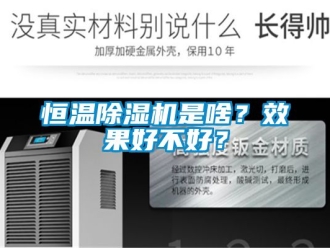 知識百科恒溫除濕機是啥？效果好不好？