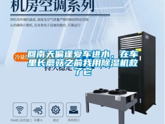 行業(yè)新聞回南天偏逢愛車進(jìn)水，在車?yán)镩L(zhǎng)蘑菇之前我用除濕機(jī)救了它