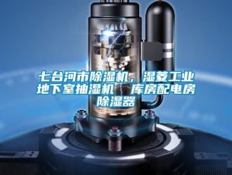 常見(jiàn)問(wèn)題七臺(tái)河市除濕機(jī)，濕菱工業(yè)地下室抽濕機(jī)  庫(kù)房配電房除濕器
