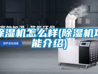 行業(yè)新聞除濕機怎么樣(除濕機功能介紹)