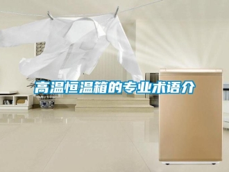 知識百科高溫恒溫箱的專業(yè)術(shù)語介