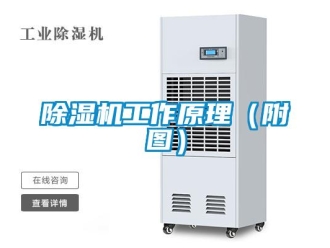 常見問題除濕機工作原理（附圖）