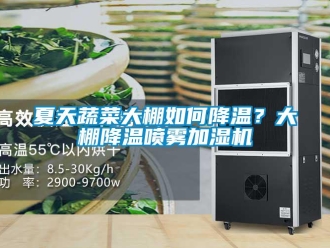 常見問題夏天蔬菜大棚如何降溫？大棚降溫噴霧加濕機(jī)