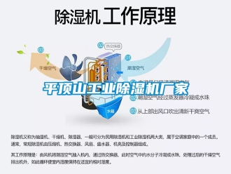 企業(yè)新聞平頂山工業(yè)除濕機廠家