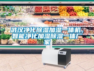企業(yè)新聞武漢凈化除濕加濕一體機(jī)，智能凈化加濕除濕一體廠家
