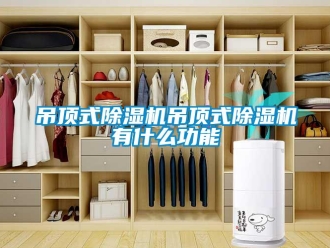 行業(yè)新聞吊頂式除濕機吊頂式除濕機有什么功能
