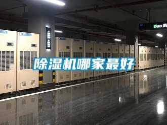 行業(yè)新聞除濕機(jī)哪家最好