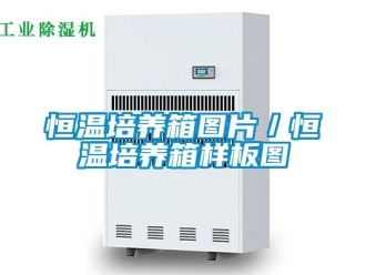 知識百科恒溫培養(yǎng)箱圖片／恒溫培養(yǎng)箱樣板圖