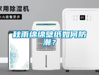 常見問題秋雨綿綿壁紙如何防潮？