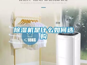 行業(yè)新聞除濕機(jī)是什么如何選購(gòu)
