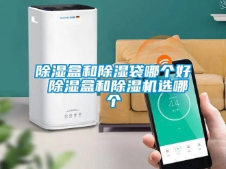 企業(yè)新聞除濕盒和除濕袋哪個(gè)好 除濕盒和除濕機(jī)選哪個(gè)