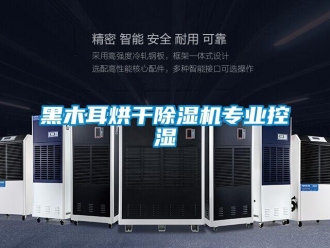 行業(yè)新聞黑木耳烘干除濕機(jī)專業(yè)控濕