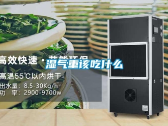 知識(shí)百科濕氣重該吃什么