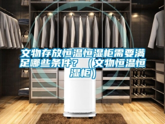 知識百科文物存放恒溫恒濕柜需要滿足哪些條件？（文物恒溫恒濕柜）