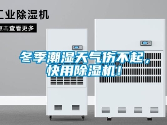 企業(yè)新聞冬季潮濕天氣傷不起，快用除濕機(jī)！