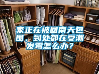 常見問題家正在被回南天包圍，到處都在受潮發(fā)霉怎么辦？