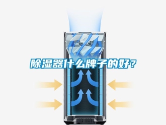 行業(yè)新聞除濕器什么牌子的好？