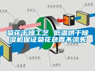 行業(yè)新聞菊花干燥工藝 低溫烘干除濕機(jī)保證菊花色香不流失