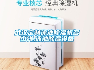 行業(yè)新聞武漢定制泳池除濕機(jī)多少錢,泳池除濕設(shè)備