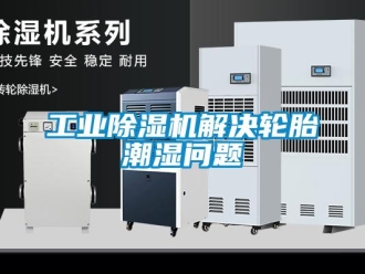 常見問題工業(yè)除濕機(jī)解決輪胎潮濕問題