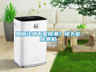 常見問(wèn)題如何讓地下室除潮？地下室除潮機(jī)