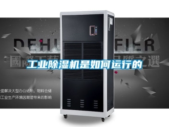 常見問題工業(yè)除濕機是如何運行的