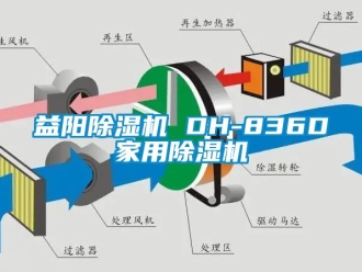 常見問題益陽除濕機 DH-836D家用除濕機