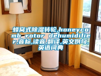 常見問題蜂窩式除濕轉(zhuǎn)輪,honeycomb rotor dehumidifier,音標(biāo),讀音,翻譯,英文例句,英語(yǔ)詞典