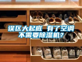 行業(yè)新聞?wù)`區(qū)大起底 有了空調(diào)不需要除濕機(jī)？