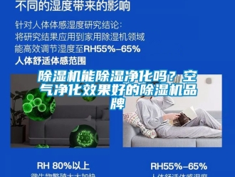 企業(yè)新聞除濕機(jī)能除濕凈化嗎？空氣凈化效果好的除濕機(jī)品牌