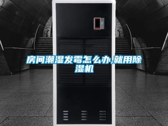 常見問題房間潮濕發(fā)霉怎么辦,就用除濕機