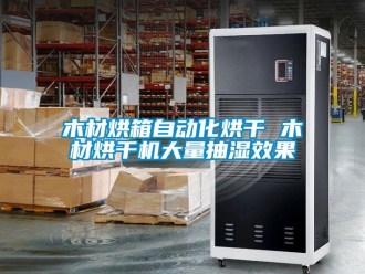 企業(yè)新聞木材烘箱自動化烘干 木材烘干機大量抽濕效果