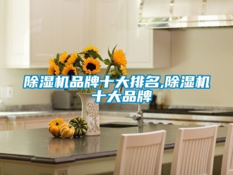 企業(yè)新聞除濕機品牌十大排名,除濕機 十大品牌