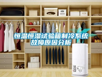 知識百科恒溫恒濕試驗(yàn)箱制冷系統(tǒng)故障原因分析