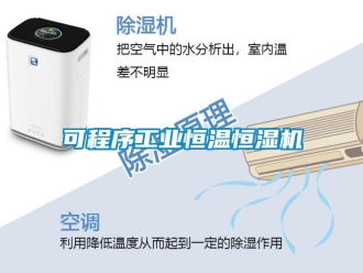 知識(shí)百科可程序工業(yè)恒溫恒濕機(jī)