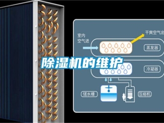 企業(yè)新聞除濕機的維護