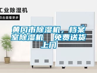 行業(yè)新聞黃岡市除濕機(jī)，檔案室除濕機(jī)  免費(fèi)送貨上門