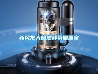 知識百科新風(fēng)把大自然鮮氧搬回家