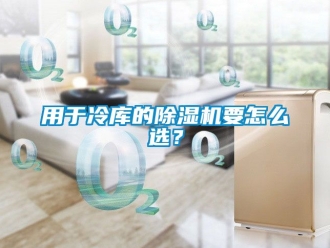 行業(yè)新聞用于冷庫的除濕機要怎么選？