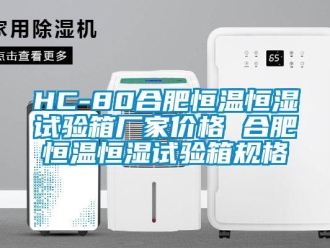 常見問題HC-80合肥恒溫恒濕試驗箱廠家價格 合肥恒溫恒濕試驗箱規(guī)格
