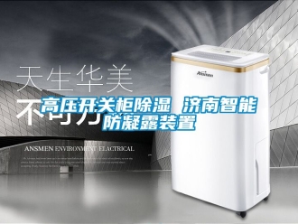 行業(yè)新聞高壓開關(guān)柜除濕 濟(jì)南智能防凝露裝置