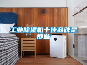常見問題工業(yè)除濕機(jī)十佳品牌是那些