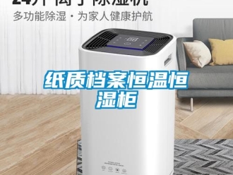 知識(shí)百科紙質(zhì)檔案恒溫恒濕柜