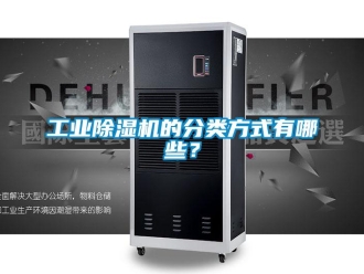 企業(yè)新聞工業(yè)除濕機的分類方式有哪些？